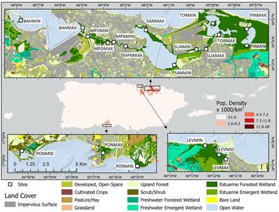 The Role of Urbanness, Vegetation Structure, and Scale in Shaping Puerto Rico’s Acoustically Active Mangrove Fauna Communities